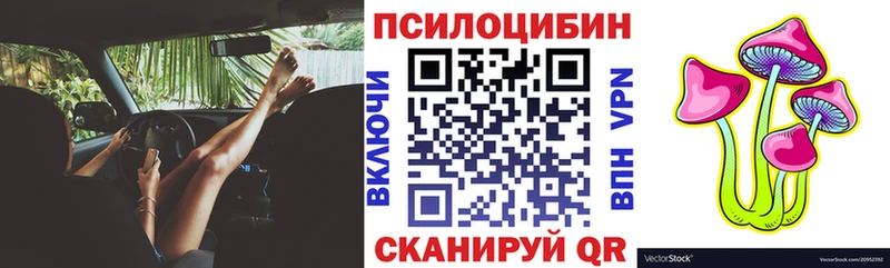 ОМГ ОМГ зеркало  Андреаполь  Псилоцибиновые грибы мицелий 